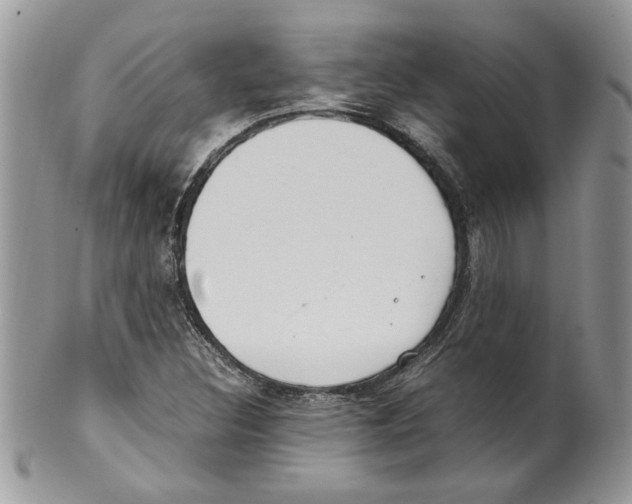 X0000099551308200806131203