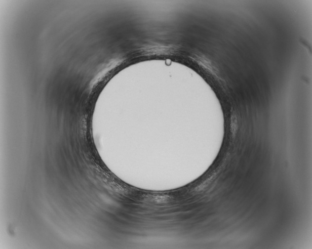 X0000099551309200806131203