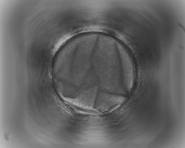 X0000099551312200806131203