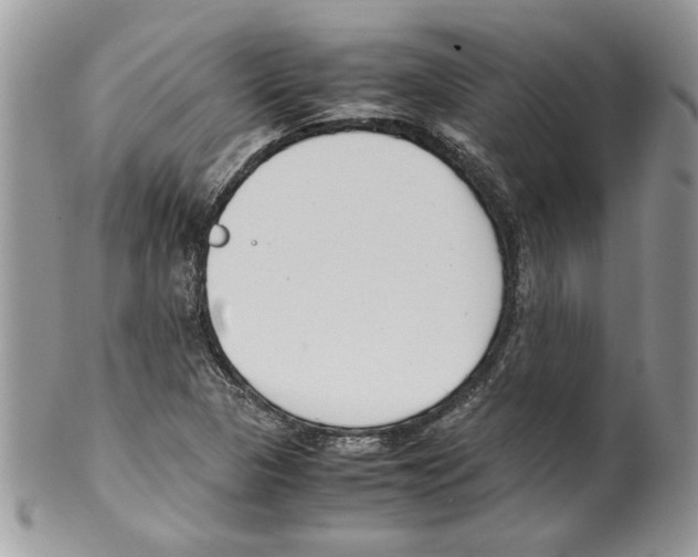 X0000099551313200806131203