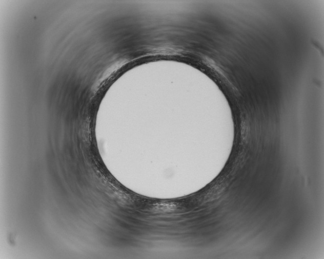 X0000099551315200806131203