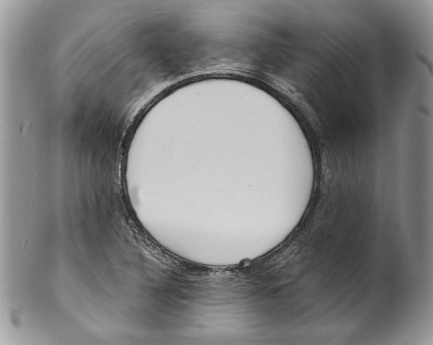 X0000099551316200806131203