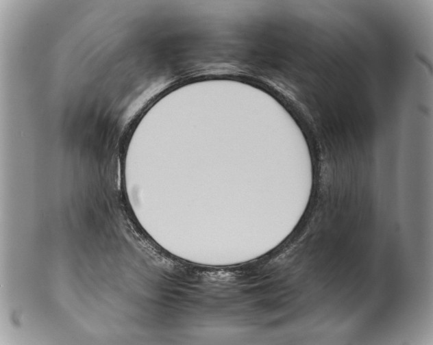 X0000099551317200806131203