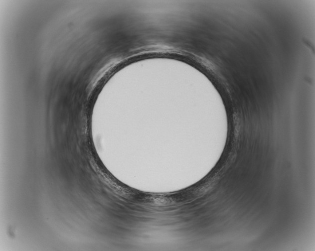 X0000099551318200806131203