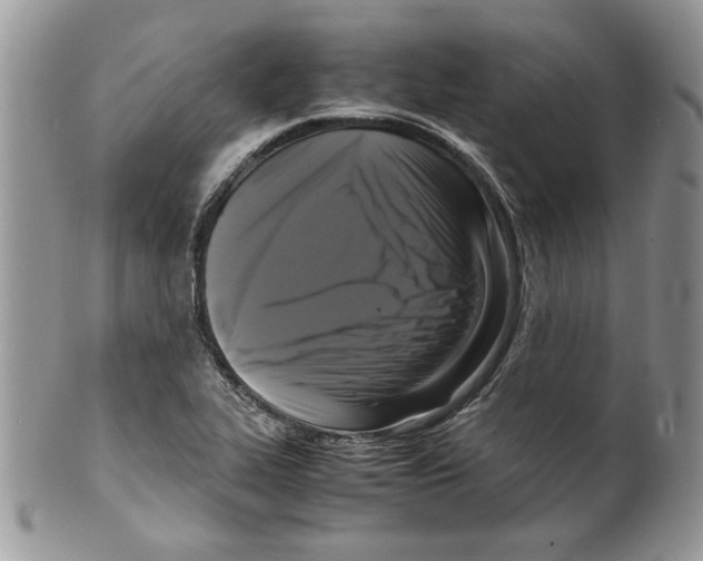 X0000099551319200806131203