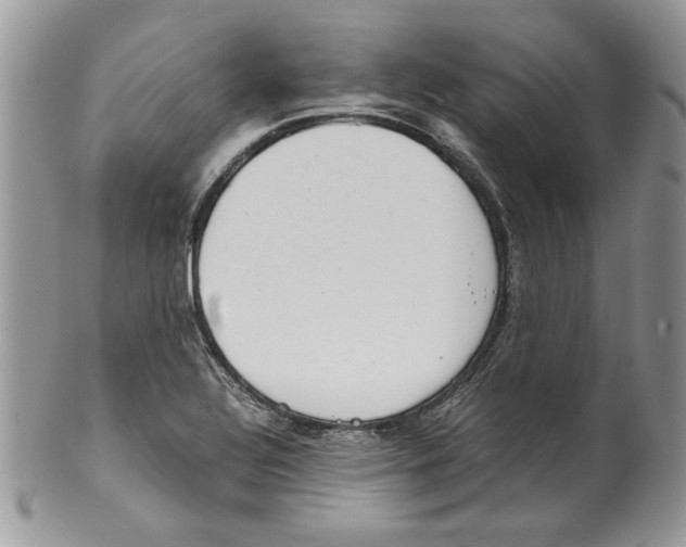 X0000099551320200806131203