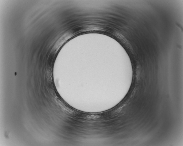 X0000099551321200806131203