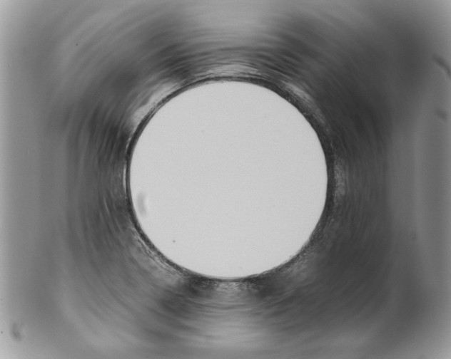 X0000099551322200806131203