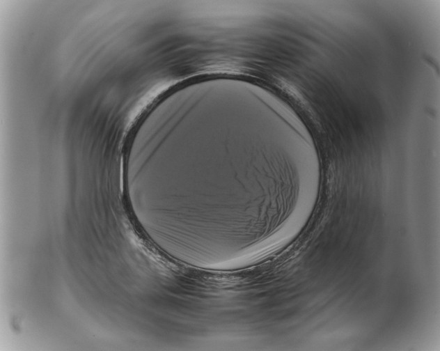 X0000099551323200806131203