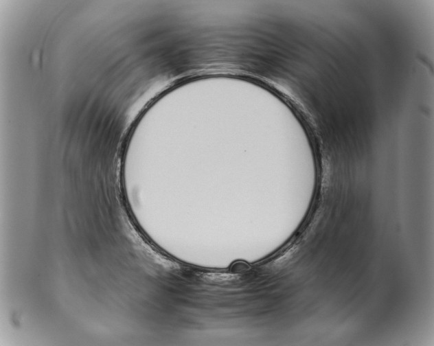 X0000099551325200806131203