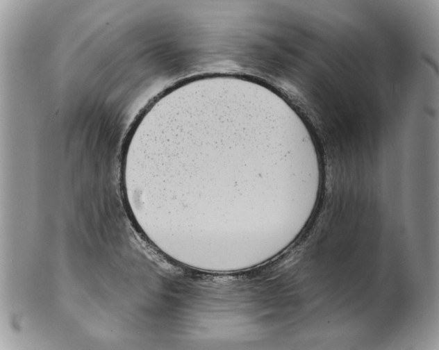 X0000099551326200806131203