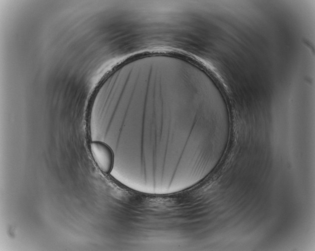 X0000099551327200806131203