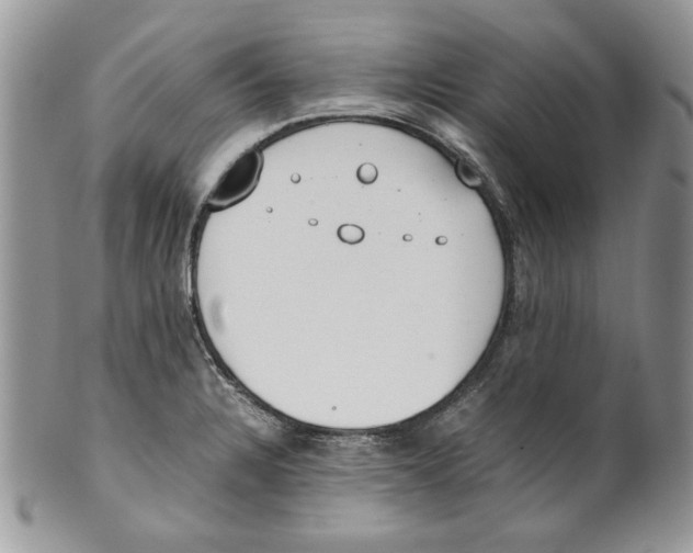 X0000099551328200806131203