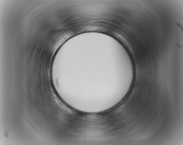 X0000099551330200806131203