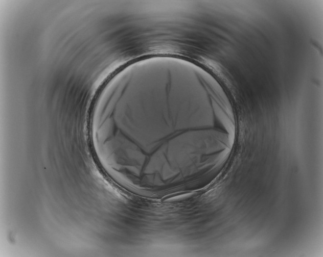 X0000099551331200806131203