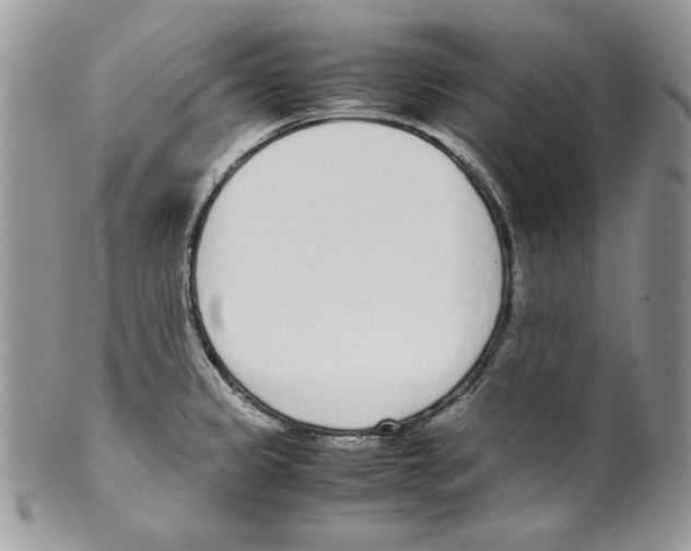 X0000099551333200806131203