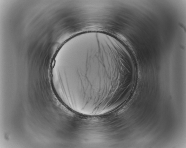 X0000099551334200806131203