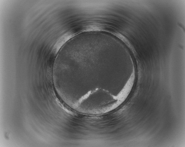 X0000099551337200806131203