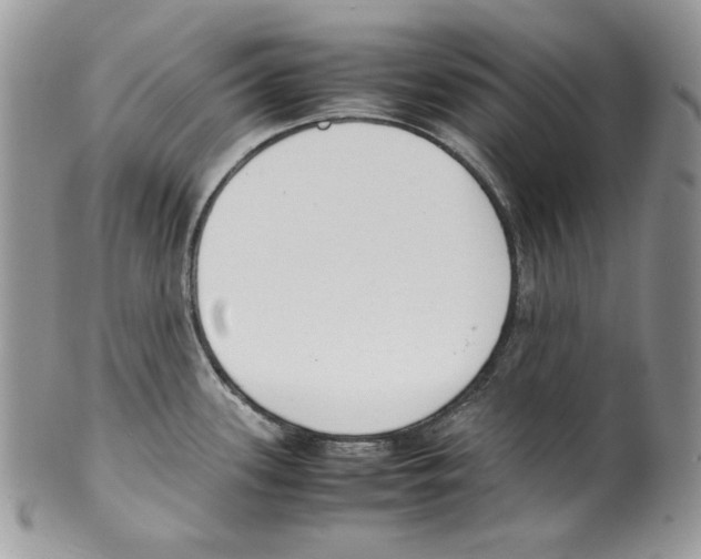 X0000099551339200806131203