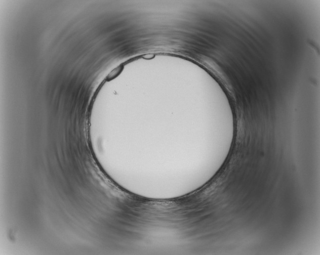 X0000099551340200806131203