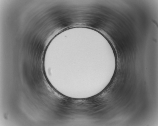 X0000099551341200806131203