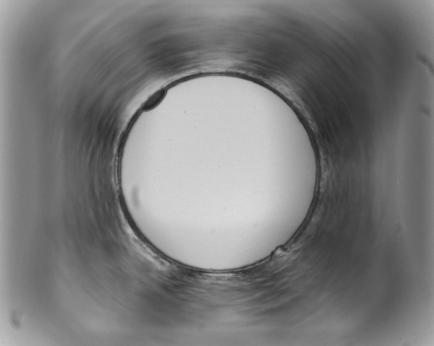 X0000099551342200806131203