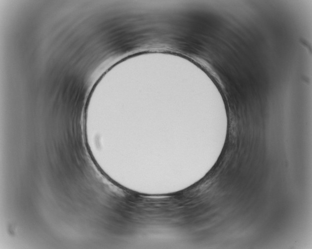 X0000099551343200806131203