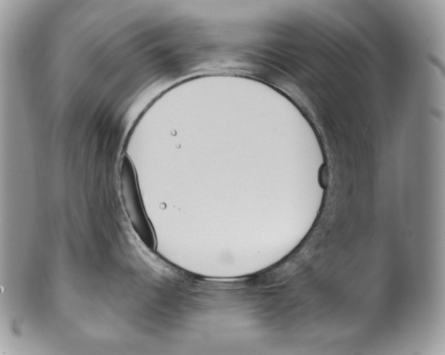 X0000099551344200806131203