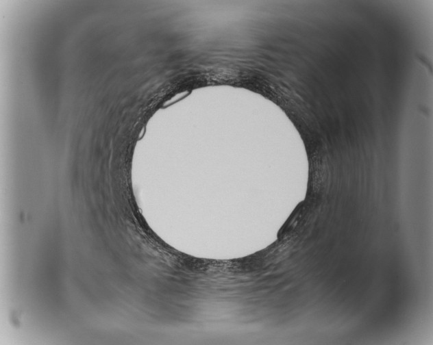 X0000099551345200806131203