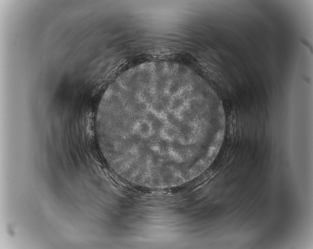 X0000099551346200806131203