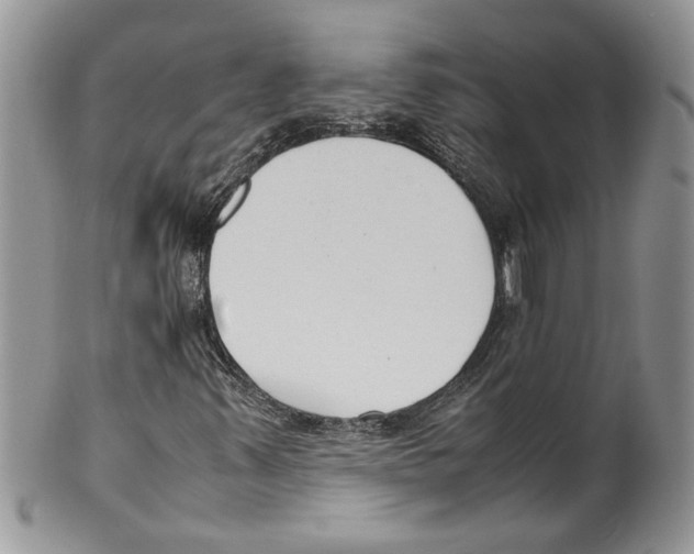 X0000099551347200806131203