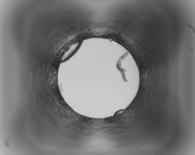 X0000099551349200806131203