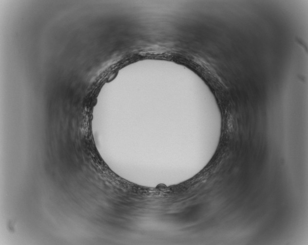 X0000099551350200806131203