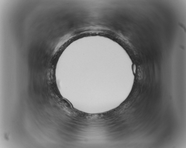 X0000099551352200806131203