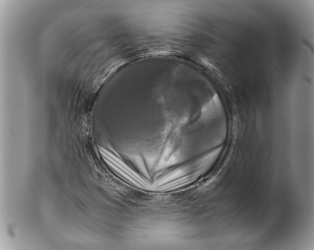 X0000099551353200806131203