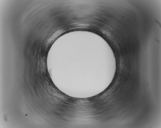 X0000099551354200806131203