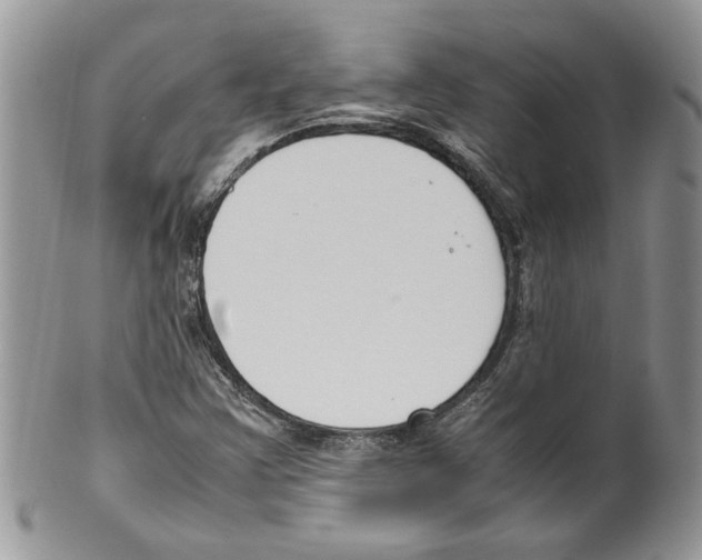 X0000099551355200806131203