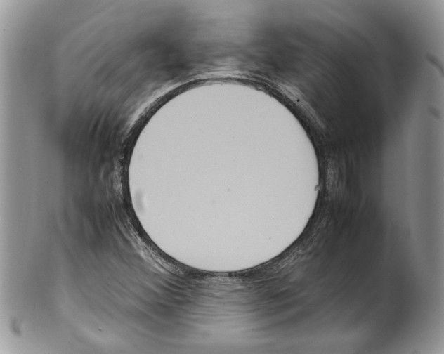 X0000099551356200806131203