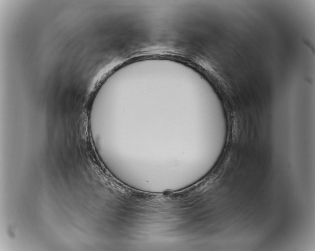 X0000099551358200806131203