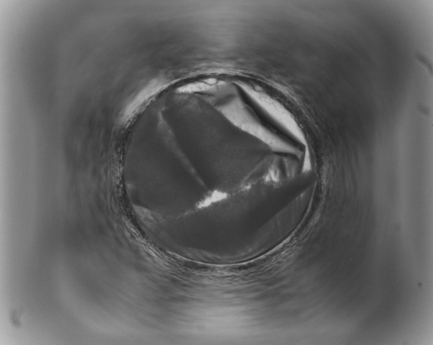 X0000099551359200806131203