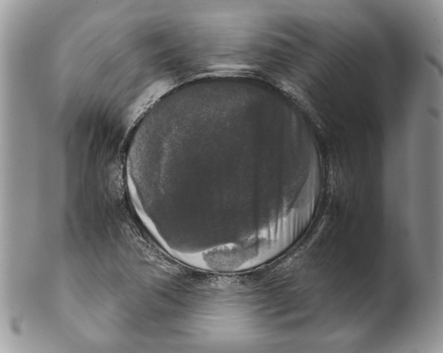 X0000099551362200806131203