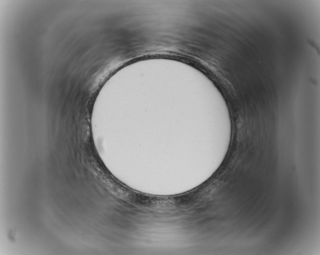 X0000099551363200806131203