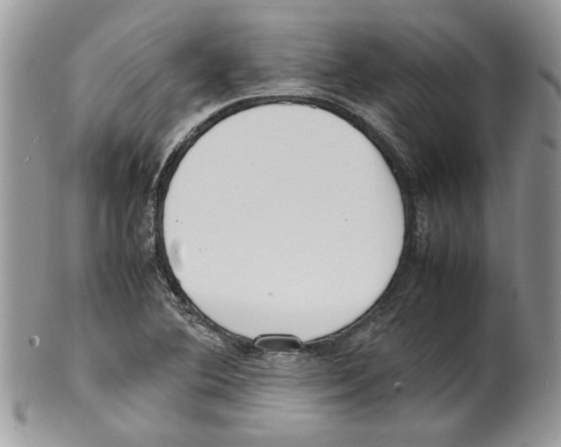 X0000099551364200806131203