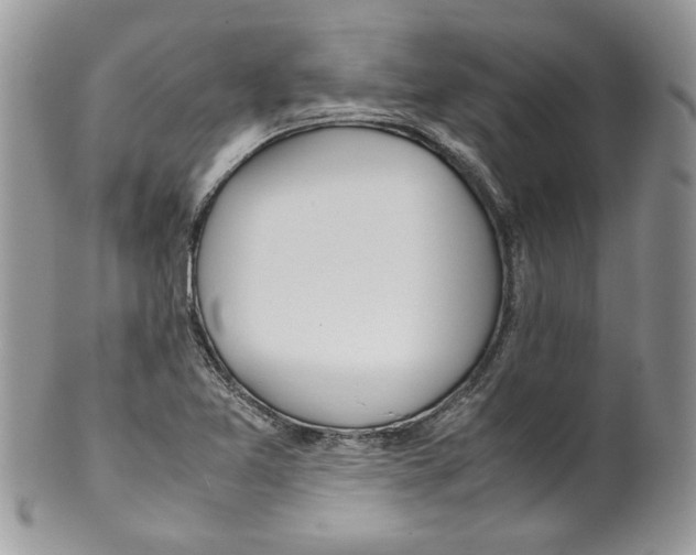 X0000099551365200806131203