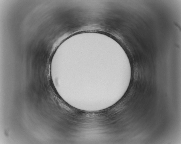 X0000099551366200806131202