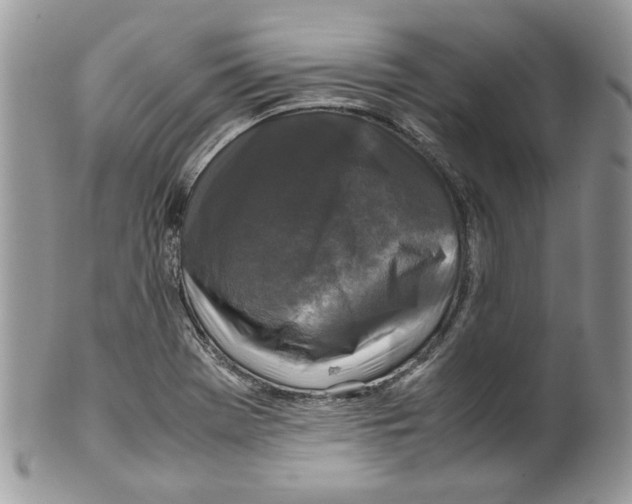 X0000099551369200806131202