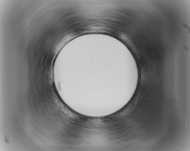 X0000099551370200806131202