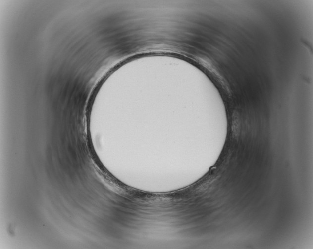 X0000099551372200806131202