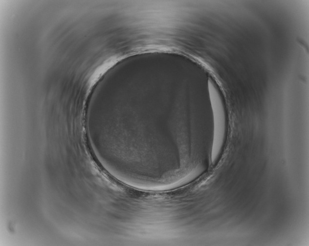 X0000099551373200806131202