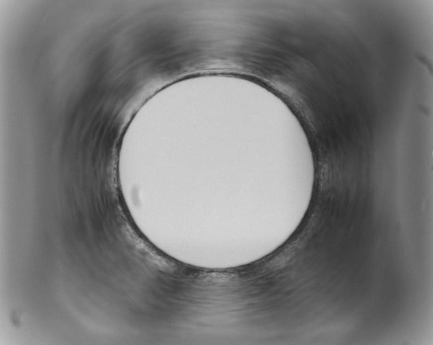 X0000099551374200806131202